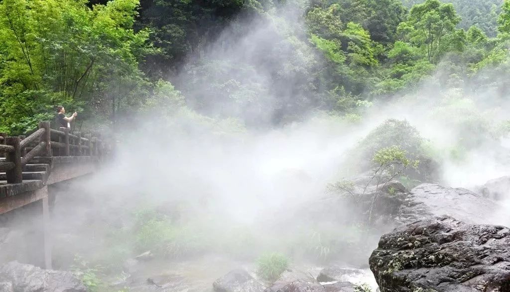 “雾森”系统、“雾森”景观